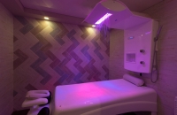Душ Виши